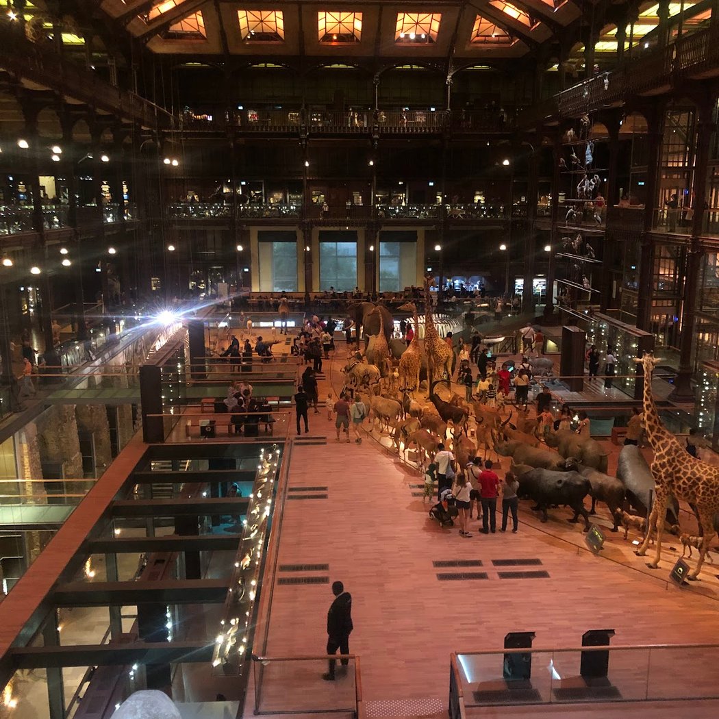 Friends of the National Museum of Natural History 3